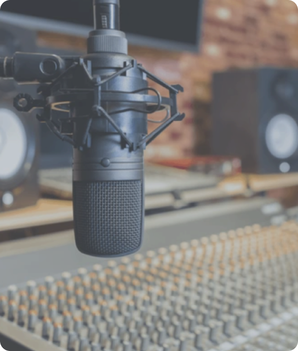 A high-quality studio microphone mounted on a shock mount